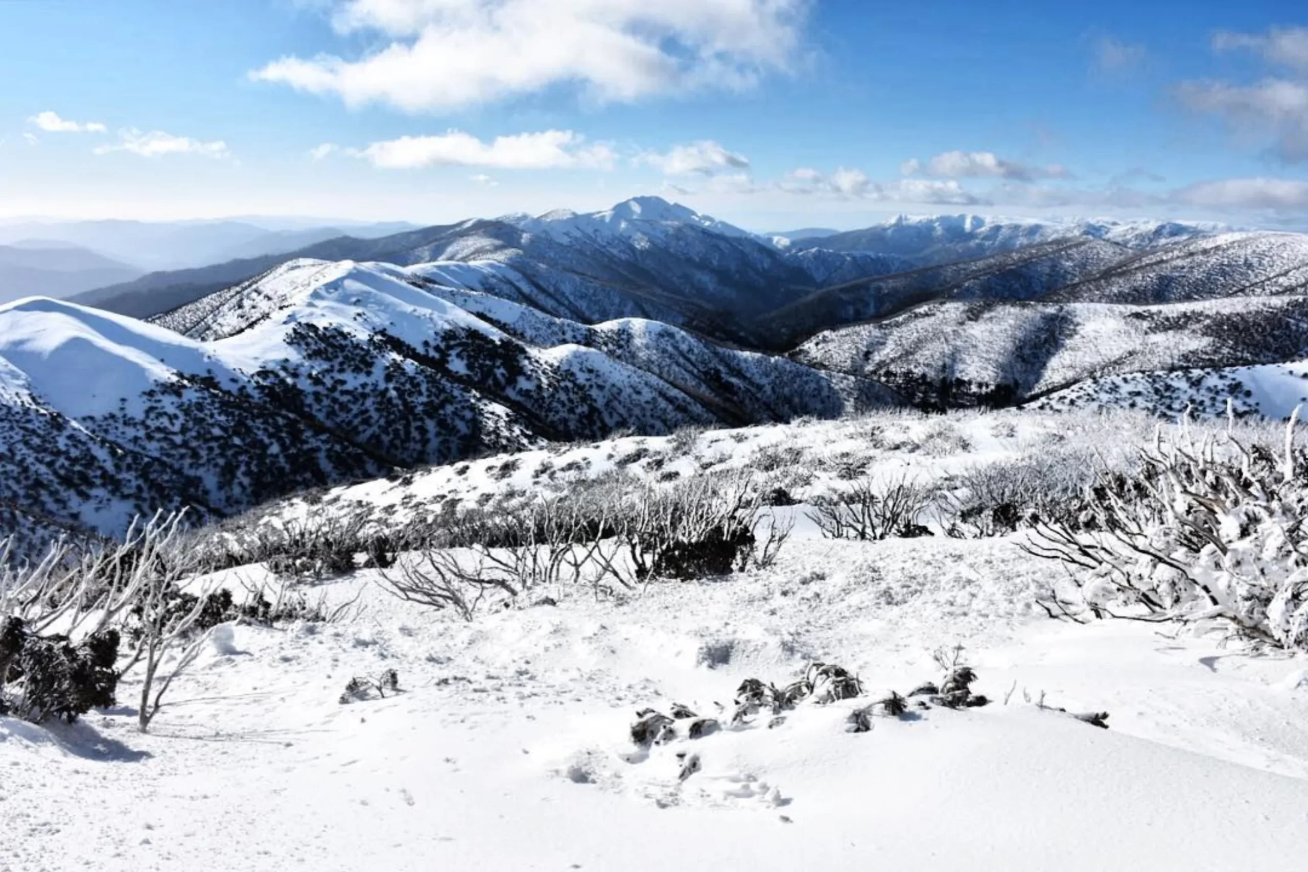 daytime temperatures, Larapinta