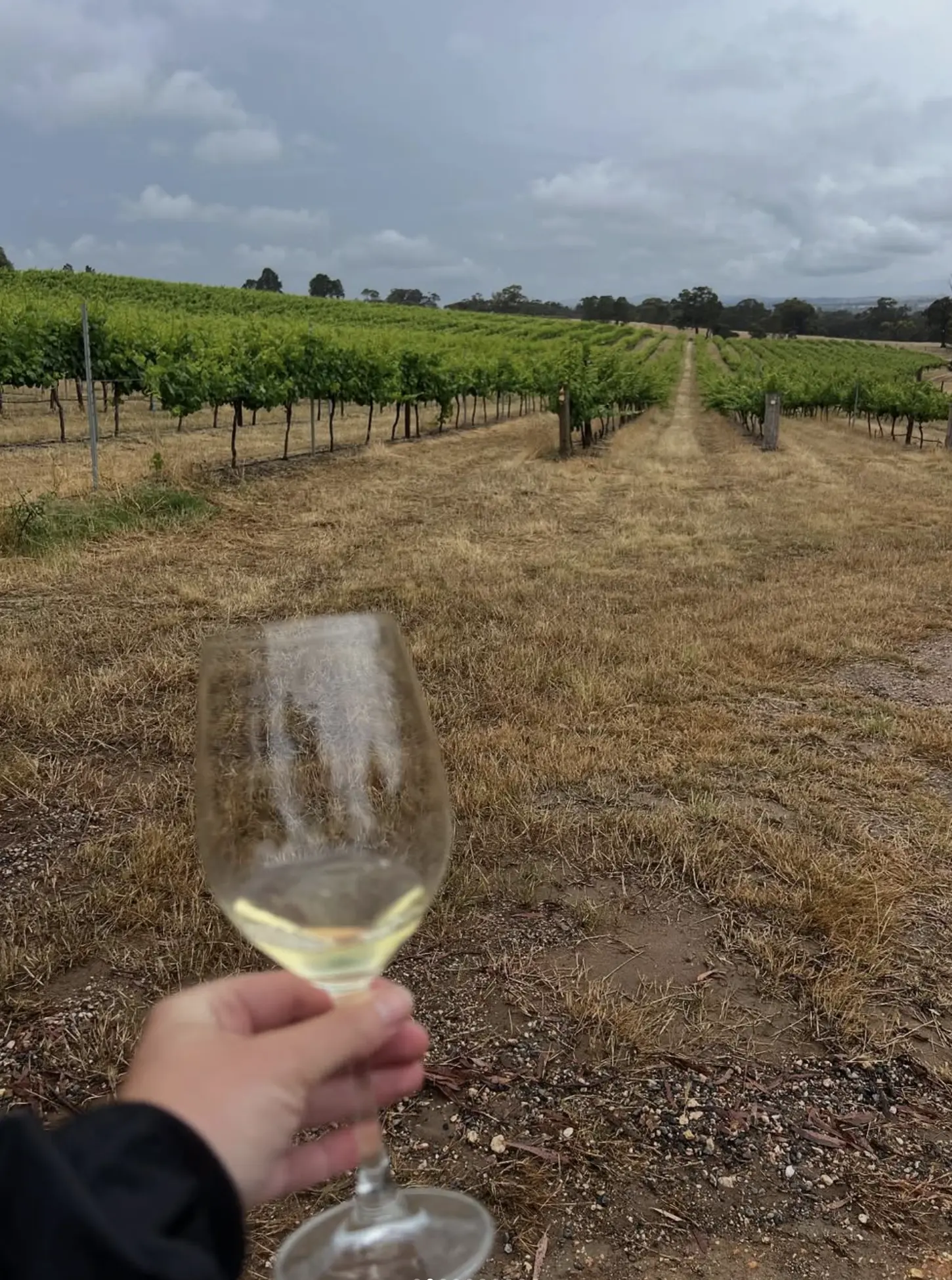 Vineyard Stays Grampians